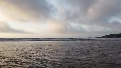 清晨便随着微风海浪袭来视频的预览图